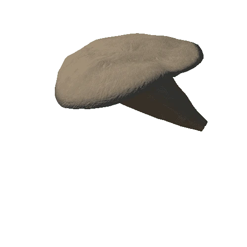 Midl mushroom 10 (1,506 tris)